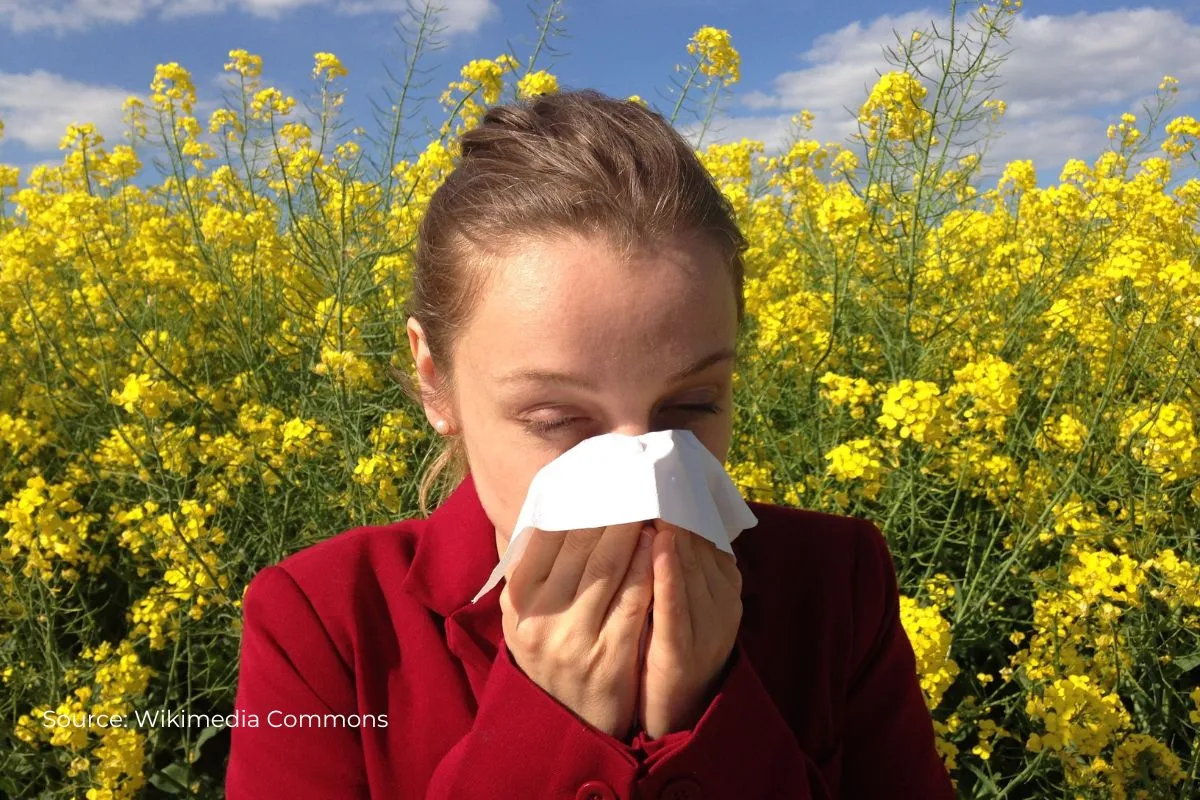Allergy season is getting worse, is climate change behind it?