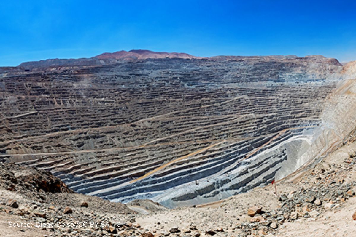 What is the cost of rare earth element reserves found in Andhra?