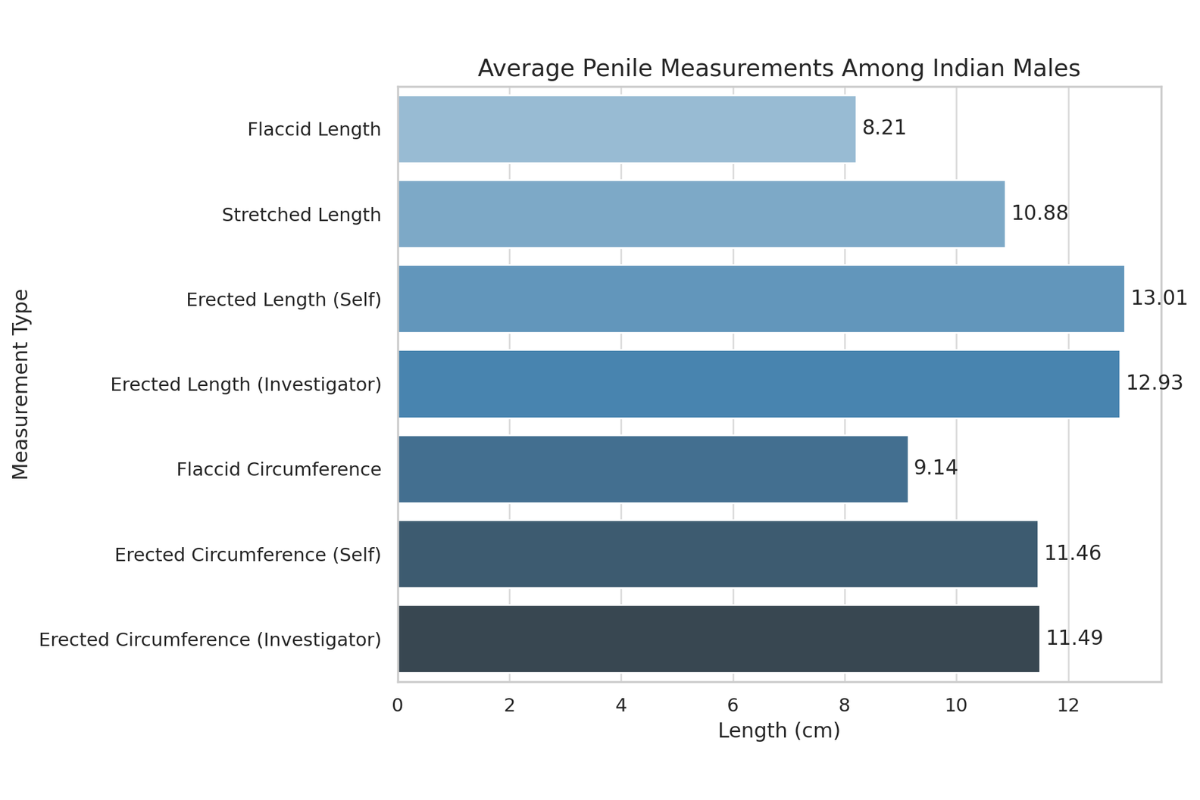 Average Penile Length Of Indian Male